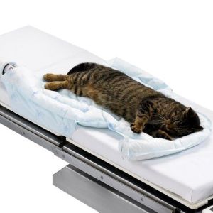 SOLVENTUM ARIZANT BAIR HUGGER™ ANIMAL HEALTH WARMING BLANKETS Animal Blanket, Underbody, 10/cs