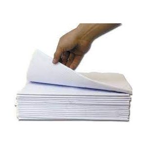 AVALON PAPERS DRAPE SHEETS 2 PLY TISSUE Drape Sheet, 40" x 60", White, 100/cs